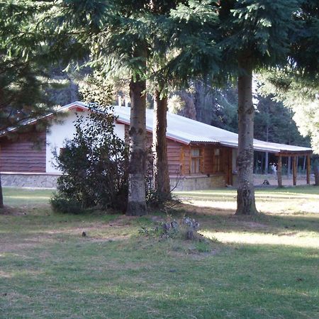 Posada Del Angel San Carlos de Bariloche Eksteriør billede