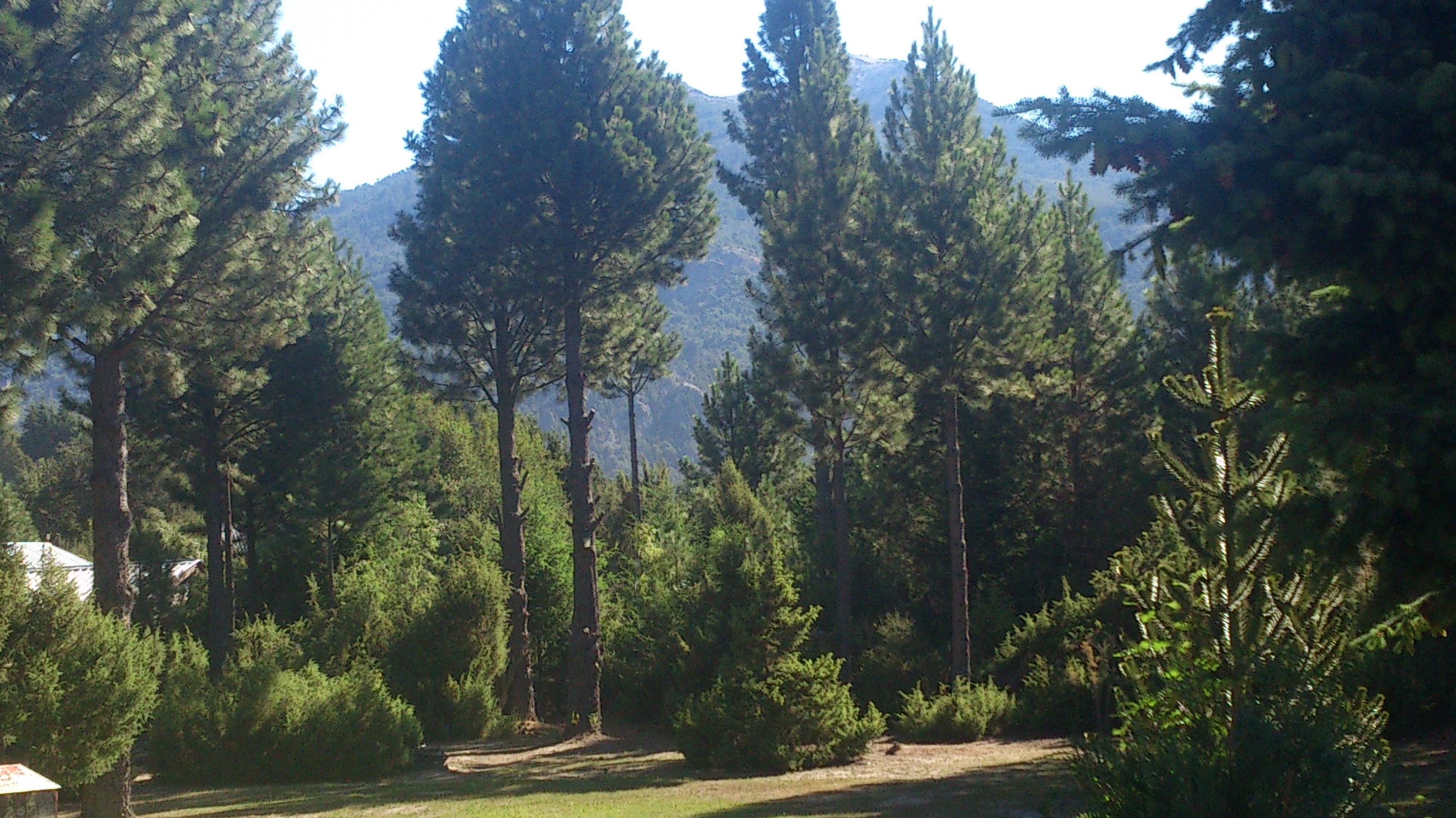 Posada Del Angel San Carlos de Bariloche Eksteriør billede